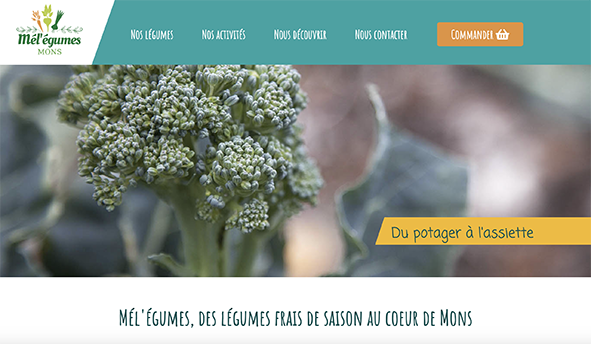 Exemple du site de Mel'égumes