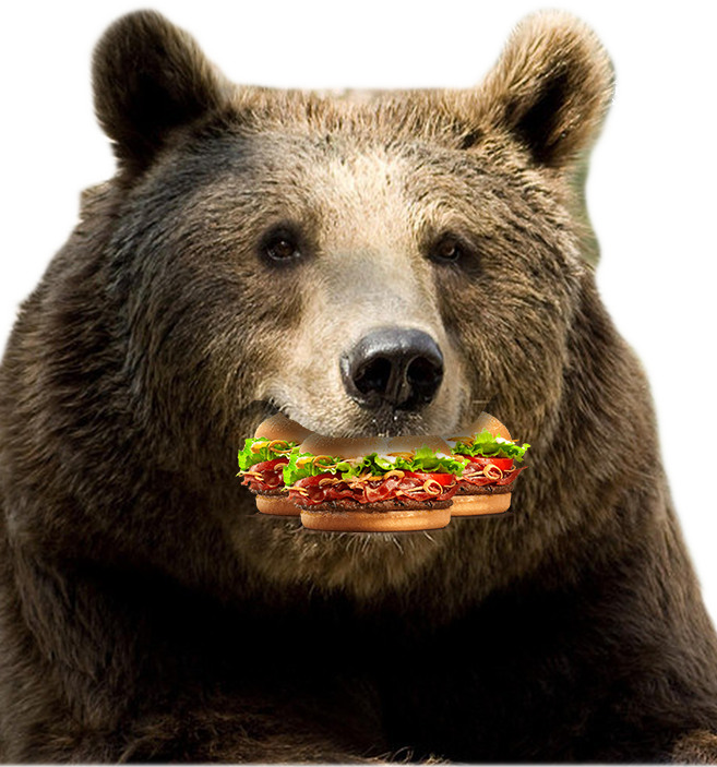 Bear with a burger